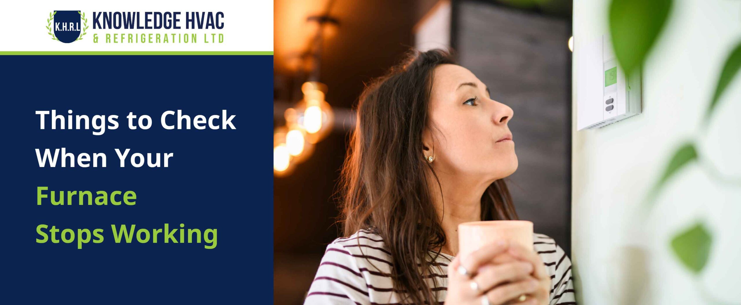 Furnace stops working